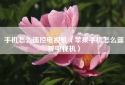 手机怎么遥控电视机（苹果手机怎么遥控电视机）