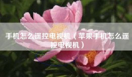 手机怎么遥控电视机（苹果手机怎么遥控电视机）