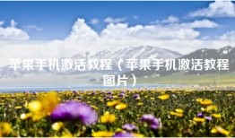 苹果手机激活教程（苹果手机激活教程图片）