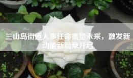 三山岛街道人事任命重塑未来，激发新动能新篇章开启