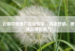 云南百度推广优化专家，精准营销，增强品牌影响力