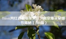 Tiktok网红遇害引发关注：南京爆头案细节揭秘（2024版）