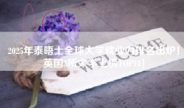 2025年泰晤士全球大学就业力排名出炉！英国3所大学上榜TOP10！