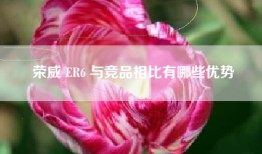 荣威 ER6 与竞品相比有哪些优势