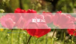 勤策365