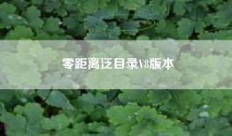 零距离泛目录V8版本