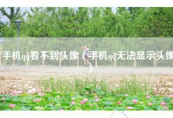手机qq看不到头像（手机qq无法显示头像）