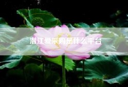 潜江爱采购是什么平台