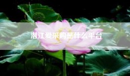 潜江爱采购是什么平台
