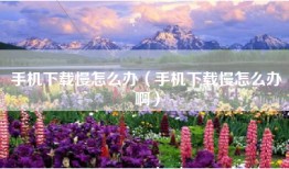 手机下载慢怎么办（手机下载慢怎么办啊）