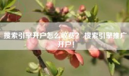 搜索引擎开户怎么收费？ 搜索引擎推广开户！