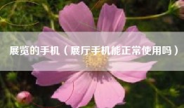 展览的手机（展厅手机能正常使用吗）