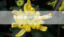 抖音巨量AD广告推广开户