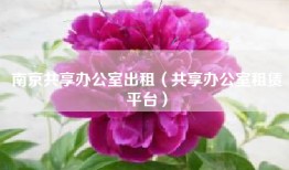 南京共享办公室出租（共享办公室租赁平台）