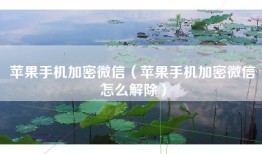 苹果手机加密微信（苹果手机加密微信怎么解除）