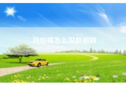 冯绍峰怎么说赵丽颖