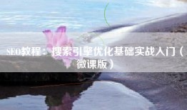 SEO教程：搜索引擎优化基础实战入门（微课版）