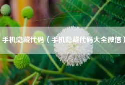 手机隐藏代码（手机隐藏代码大全微信）