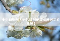 手机音响杂（手机音响杂音滋滋的怎么处理）