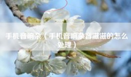 手机音响杂（手机音响杂音滋滋的怎么处理）