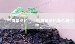 手机屏幕彩色（手机屏幕彩色怎么调回来）