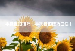手机自拍技巧（手机自拍技巧口诀）