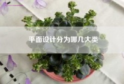 平面设计分为哪几大类