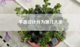 平面设计分为哪几大类