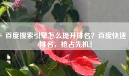 百度搜索引擎怎么提升排名？百度快速排名，抢占先机！
