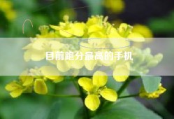 目前跑分最高的手机