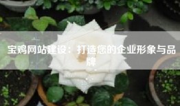 宝鸡网站建设：打造您的企业形象与品牌