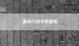 最流行的手机壁纸