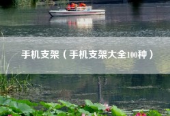 手机支架（手机支架大全100种）
