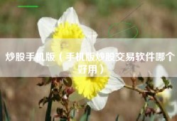 炒股手机版（手机版炒股交易软件哪个好用）