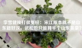 李雪健挨打很冤枉：宋江原本就不是山东籍好汉，武松也只能算半个山东英豪？