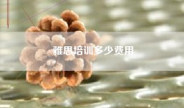 雅思培训多少费用