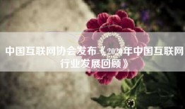 中国互联网协会发布《2020年中国互联网行业发展回顾》