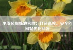 小旋风蜘蛛池官网：打造高效、安全的网站优化利器