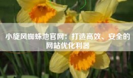 小旋风蜘蛛池官网：打造高效、安全的网站优化利器