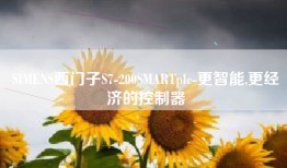 SIMENS西门子S7-200SMARTplc-更智能,更经济的控制器
