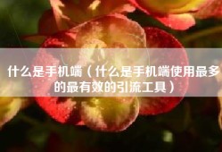 什么是手机端（什么是手机端使用最多的最有效的引流工具）