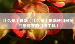 什么是手机端（什么是手机端使用最多的最有效的引流工具）