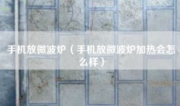 手机放微波炉（手机放微波炉加热会怎么样）