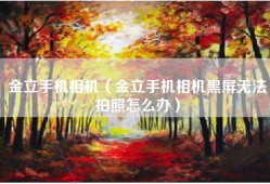 金立手机相机（金立手机相机黑屏无法拍照怎么办）