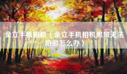 金立手机相机（金立手机相机黑屏无法拍照怎么办）