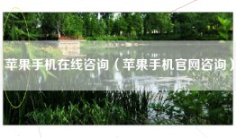 苹果手机在线咨询（苹果手机官网咨询）