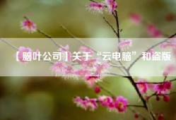【脑叶公司】关于“云电脑”和盗版