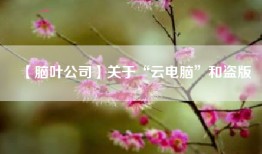 【脑叶公司】关于“云电脑”和盗版