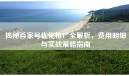 揭秘百家号优化推广全解析，费用明细与实战策略指南