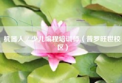 机器人／少儿编程培训师（普罗旺世校区）